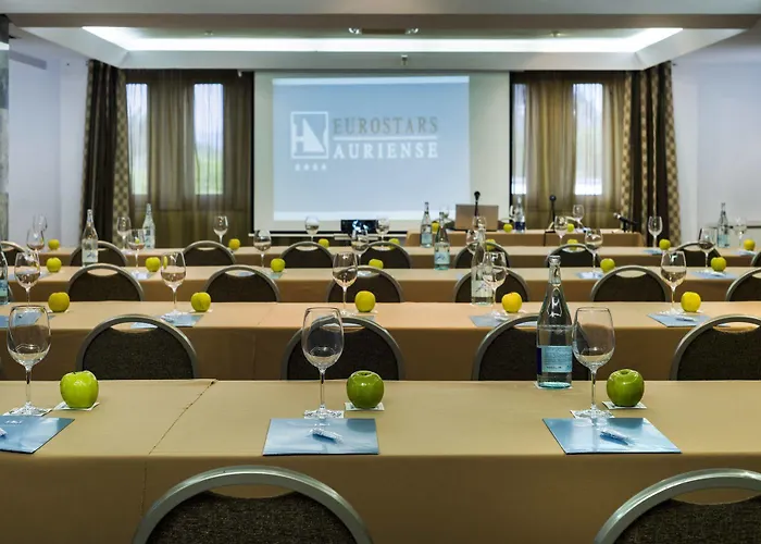 Exe Auriense Hotel 4*